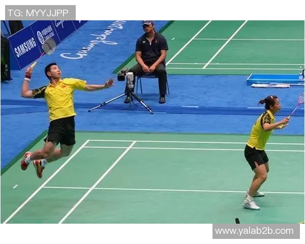 上海羽毛球队区域防守分析及其在比赛中的成败因素探讨 上海羽毛球队区域防守分析及其在比赛中的成败因素探讨