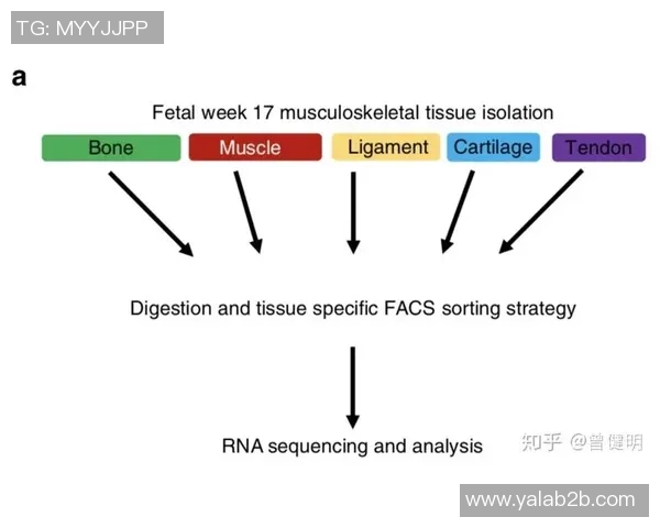 TES灵活性表现的数据分析与策略探讨:提升团队竞争力的关键因素 TES灵活性表现的数据分析与策略探讨:提升团队竞争力的关键因素