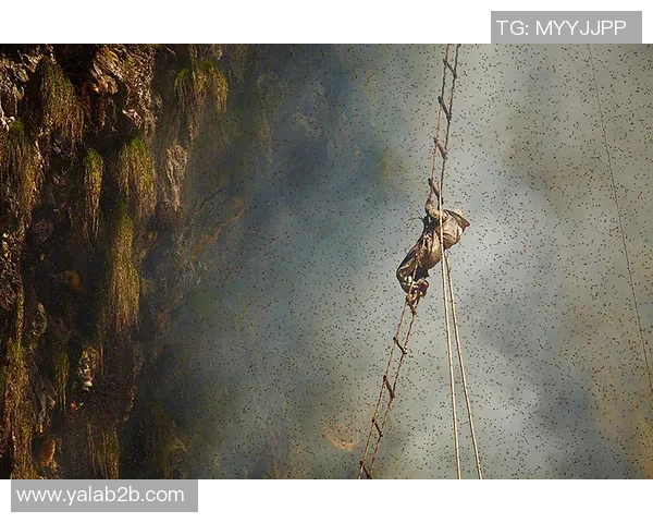 上海攀岩队防守革新之路探索与实践的全景分析 上海攀岩队防守革新之路探索与实践的全景分析